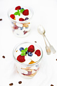 Summer tiramisu with spreadable cheese ladyfingers and red fruits