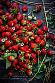 Fresh farm picked strawberries