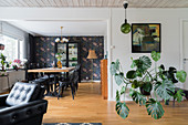 Large houseplant against white wall in open-plan interior with dining area and floral wallpaper in backgorund