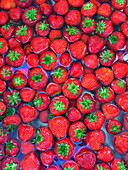 Erdbeeren im Wasser