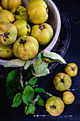 Quinces in a stone bowl