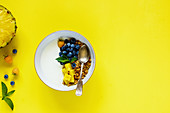 Granola greek yogurt pineapple blueberry raspberry breakfast bowl and ingredients