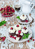 Chocolate and vanilla buttercream cupcakes with raspberry