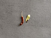 Dried chillis, a bay leave and a clove