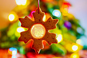 Spiced snowflake cookie tree decorations