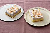 Slices of elderberry and prosecco oil-sponge cake