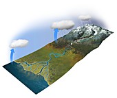 River system, illustration