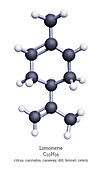 Limonene terpene, molecular model