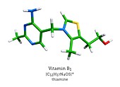 Molecular model of vitamin B1