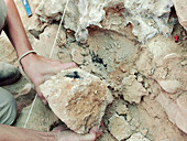 Charred deposit analysis at Neanderthal excavation site