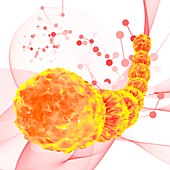 Orange archaea, illustration