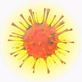 Orthomyxovirus, illustration