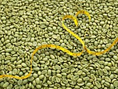 Green coffee beans and heart shape tape measure