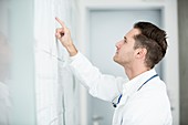 Mature male doctor inspecting white board