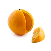 Orange segment cut from orange