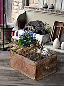 Easter Basket In Old Drawer