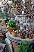 Basket With Branches Of Corkscrew Easter Eggs Decorated With Eggs
