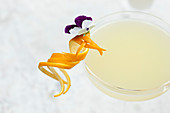 Cocktail, garniert mit Orangenschale und Blüte (Close Up)