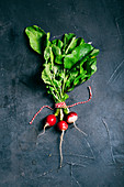 Radish with leaves on a dark background