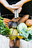 A woman holding a wire basket with tuber vegetables (celery, kohlrabi, sweet potato, beetroot, carrots, potatoes)