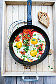 Vegetarian gyros with tomato sauce, fried eggs and parsley