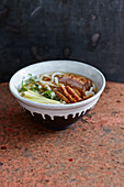 Dashi udon noodle soup with duck breast
