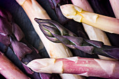 Various different coloured asparagus tips