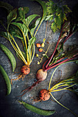 A selection of different beetroot freshly pulled from the garden