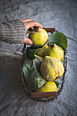 A hand reaching for quinces in a metal basket
