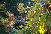 Herbstlicher Garten mit Teich