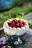 Raspberry mousse cake with chocolate cream