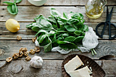 Basil pesto ingredients