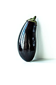 An aubergine on a white background