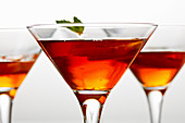 Negroni Cocktail (Martini Fiero, Gin und Campari, Italien)