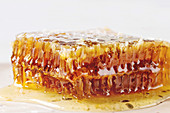 Eine Honigwabe (Nahaufnahme)