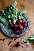 Freshly harvested radishes with soil and drops of water
