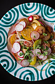 Tomato salad with radishes, cress and red onions on a ceramic plate