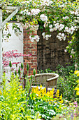 Sitzplatz im Cottage Garten unter Ramblerrose an Pergola