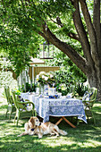 Dog lies in front of the set table with green chairs in the garden