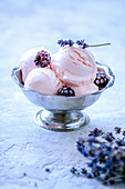 Pink ice cream balls in ice-cream bowls with blackberries and lavender