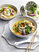 Kokos-Hähnchen-Suppe mit Reisnudeln und roter Zwiebel (Asien)