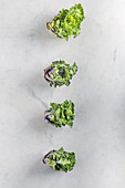 Kalettes on a Marble Surface