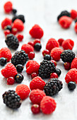 Summerberry Selection