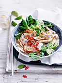 Hot and Sour Chicken Noodle Soup