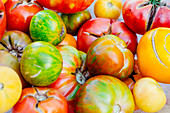 A variety of homegrown tomatoes, ranging in color from green and yellow striped to red and green to pure red