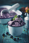 Artisan Blueberry Gelato Ice Cream