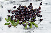 Damsons with leaves on a rustic wooden surface