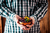 Farmers hands with bowl of red beans