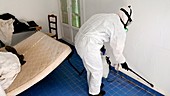 Bed bug infestation pest control