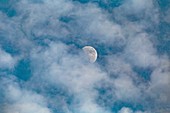Stratocumulus clouds and the Moon